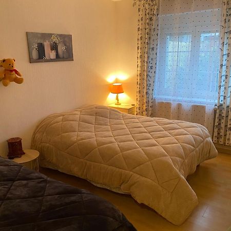 Au Coeur Des Vosges Apartment Laval-sur-Vologne ภายนอก รูปภาพ