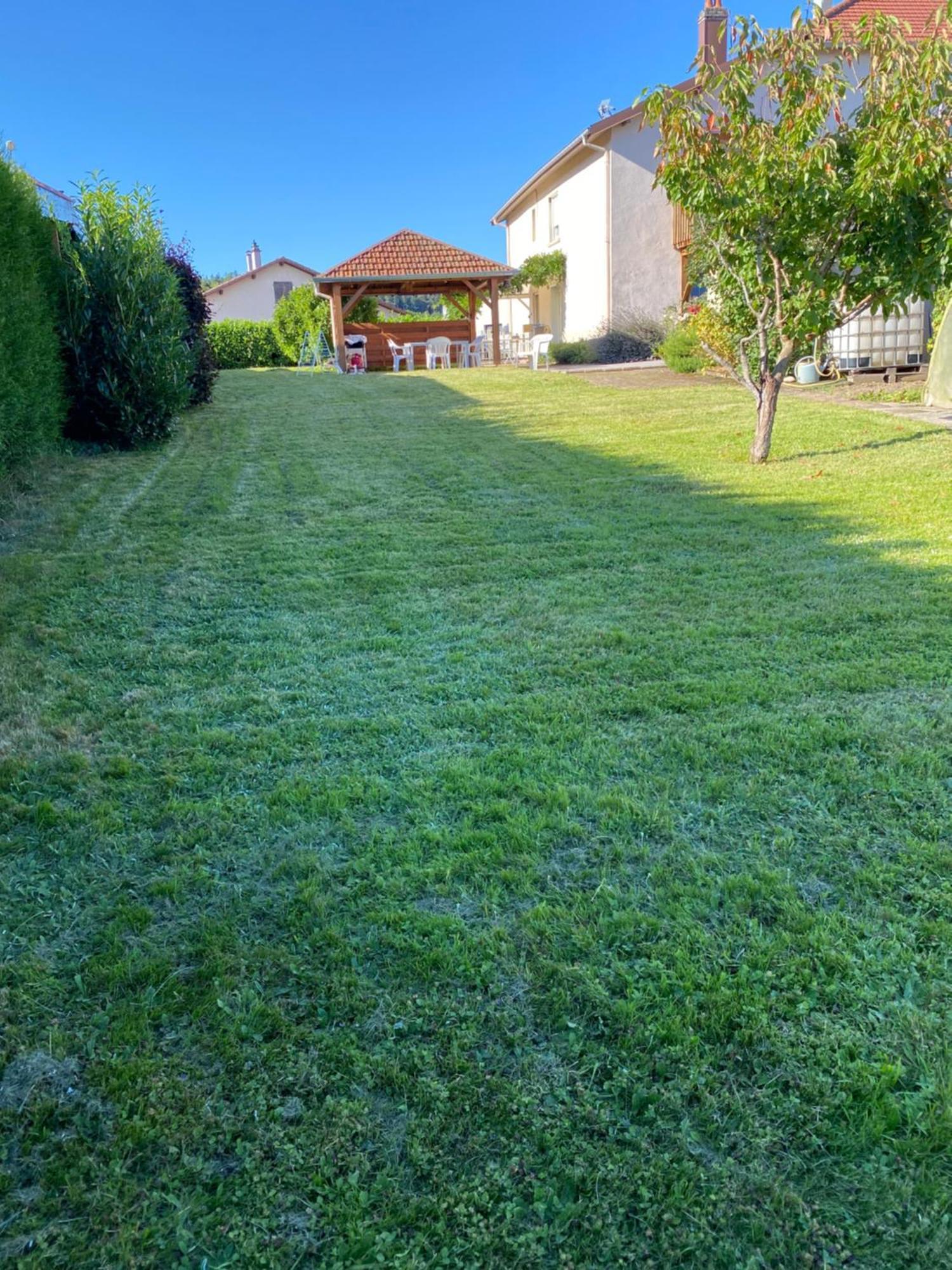 Au Coeur Des Vosges Apartment Laval-sur-Vologne ภายนอก รูปภาพ